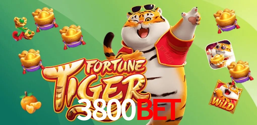 Statistics 3800BET