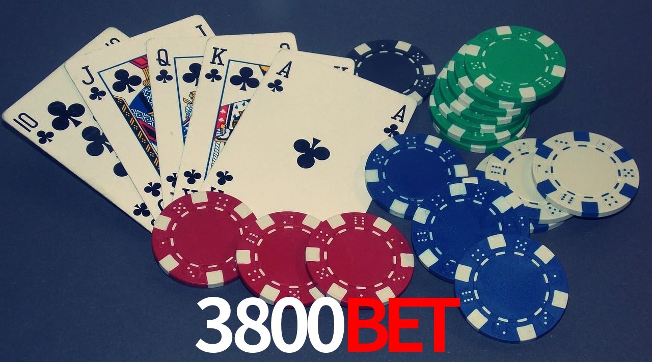 Player Reviews 3800BET